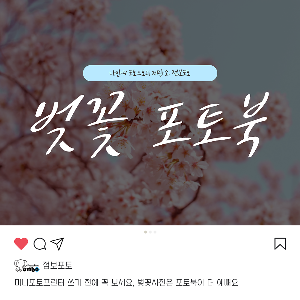 미니포토프린터 쓰기 전에 꼭 보세요, 벚꽃사진은 포토북이 더 예뻐요