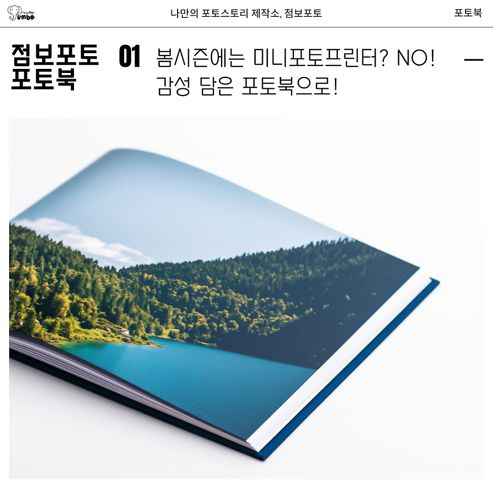 미니포토프린터 쓰기 전에 꼭 보세요, 벚꽃사진은 포토북이 더 예뻐요