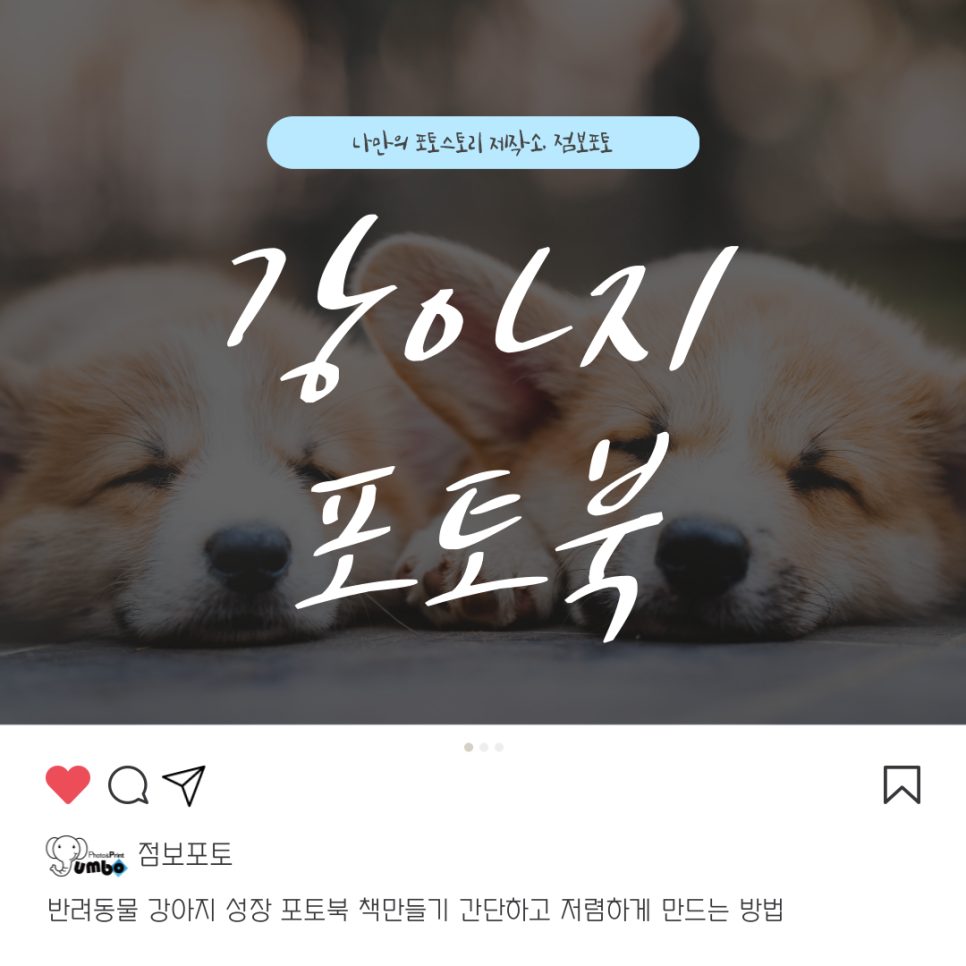 반려동물 강아지 성장 포토북 책만들기 간단하고 저렴하게 만드는 방법