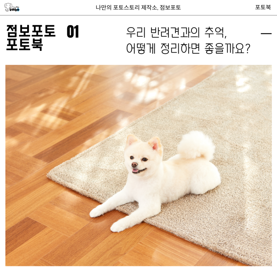 반려동물 강아지 성장 포토북 책만들기 간단하고 저렴하게 만드는 방법