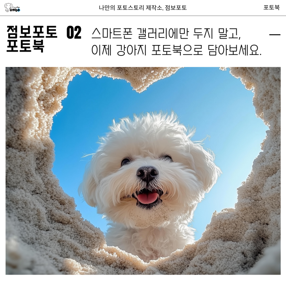 반려동물 강아지 성장 포토북 책만들기 간단하고 저렴하게 만드는 방법